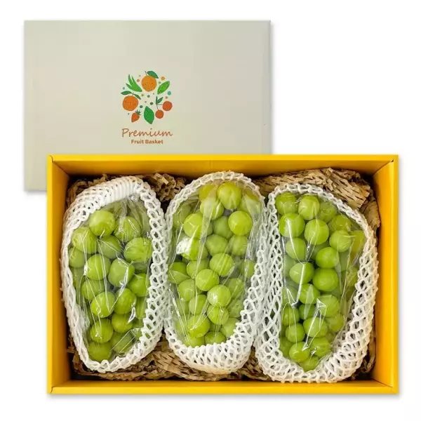 국내산 샤인머스켓 2kg